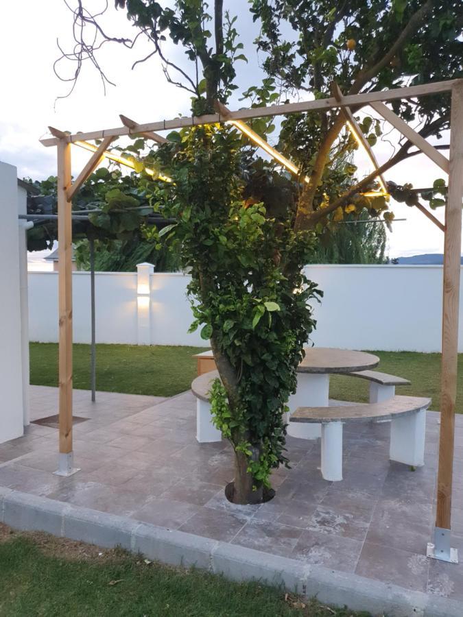 Casa Flor Delfin Ribadeo Vila Exterior foto